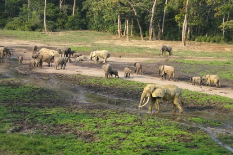 Aktivní dovolená Středoafrická republika